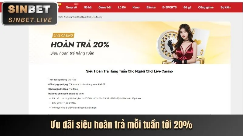 Tổng quan chương trình VIP ta28 login
